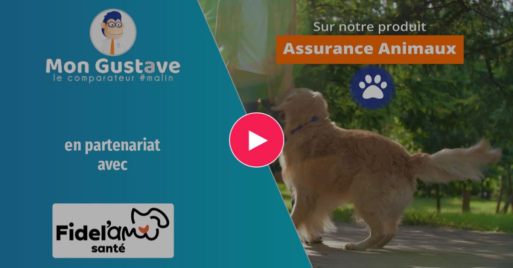 Fidel'amisanté intègre le comparateur Mon Gustave sur son panel animaux