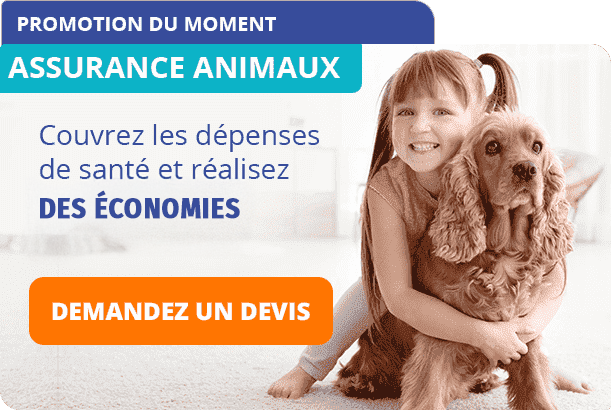 assurance animaux